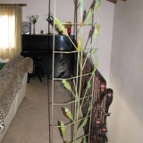 Complemento arredo ferro